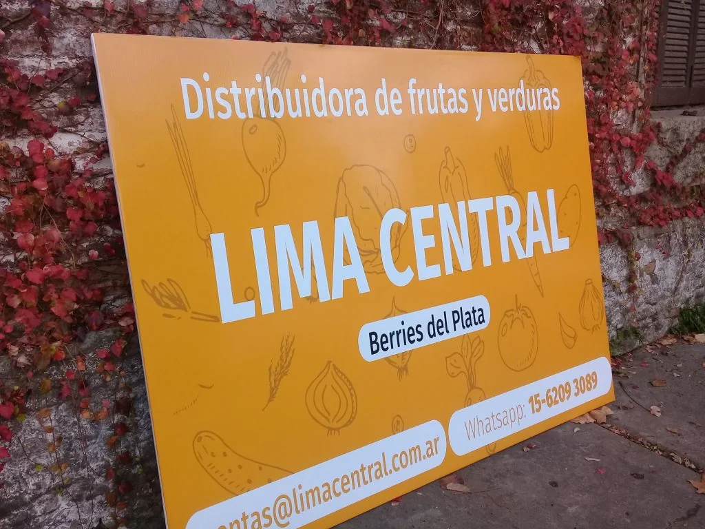 Trabajo de cartel 02